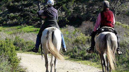 Holterberg te paard