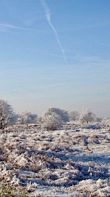 Winter in AW duinen. (geüpload door Marja)